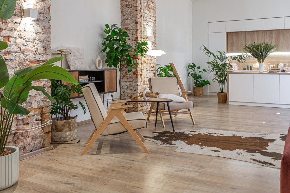 Le Migliori Piante da Interno 2025: Come Creare il Tuo Giardino Domestico Perfetto