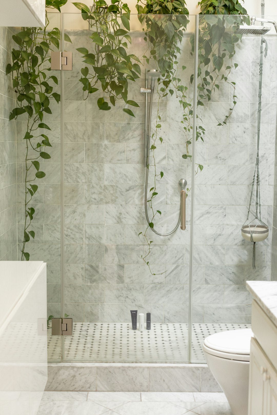 Arredare il Soggiorno con Piante Decorative: Il Tocco Verde per la Tua Casa