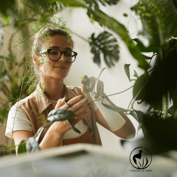 Guida alla cura delle piante in ufficio: il tuo verde in un ambiente di lavoro