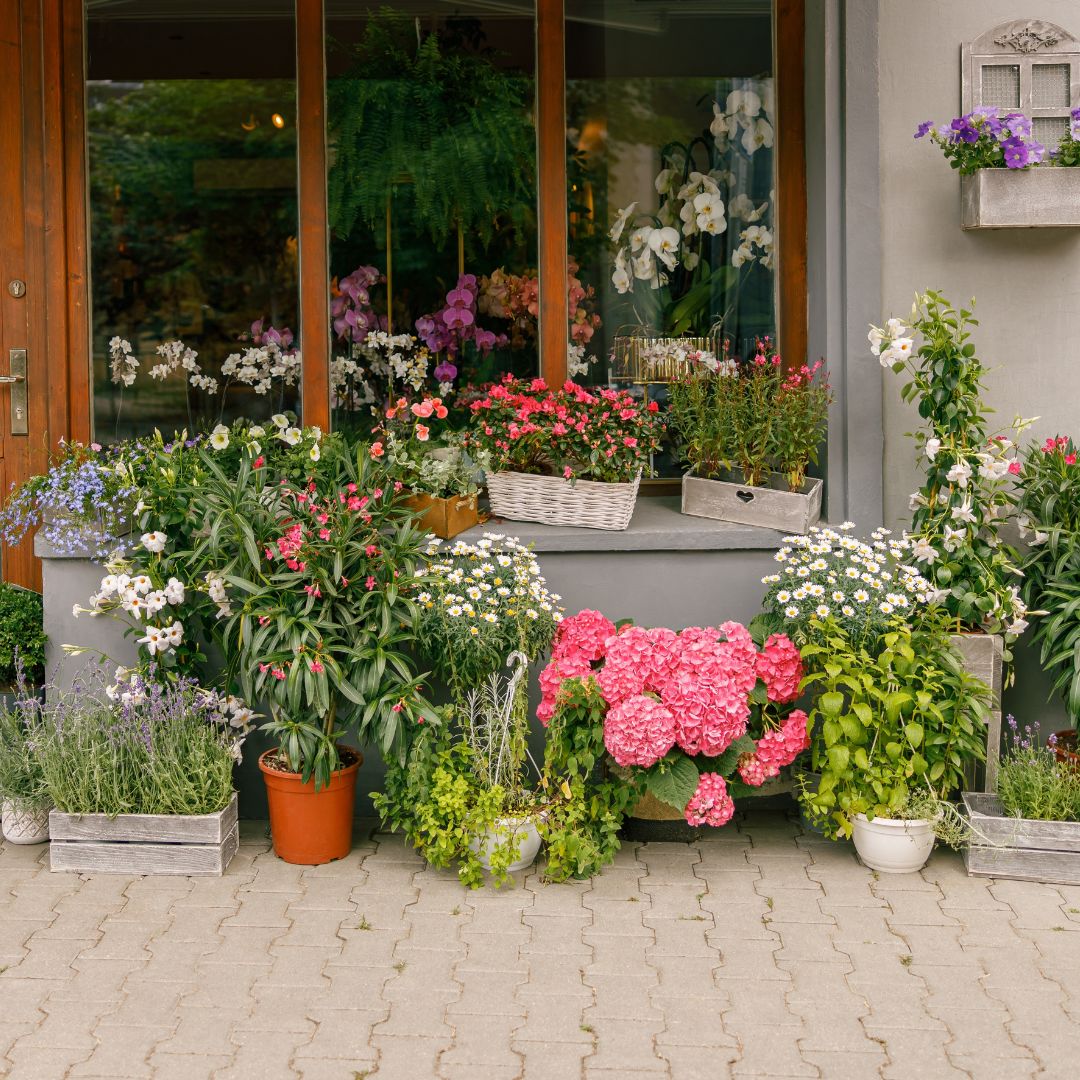 Rendi il Tuo Balcone e Terrazzo un'Oasi Verde con le Piante Giuste e Vasi di Qualità