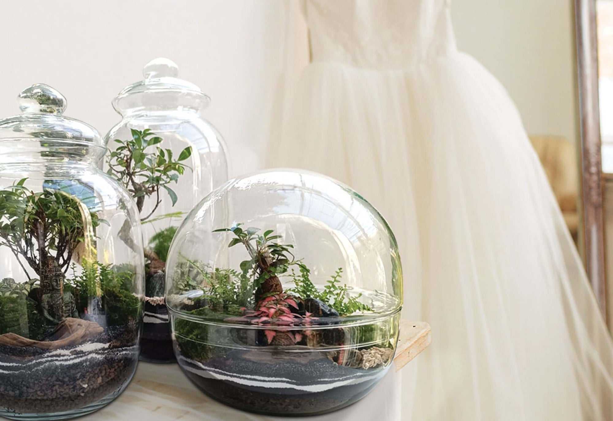 La foto mostra dei terrarium di piante in vetro e sotto sullo sfondo un abito da sposa bianco
