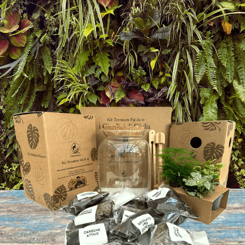 Kit completo fai da te terrarium bestseller, contenitore in vetro con piante succulente, substrato, decorazioni e attrezzi, ecosistema autosufficiente facile da creare, ideale per regalo e decorazione casa - I Giardini di Giulia