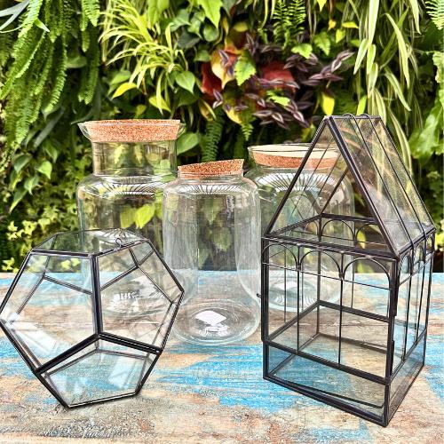 Contenitori vuoti per terrarium - i Giardini di Giulia