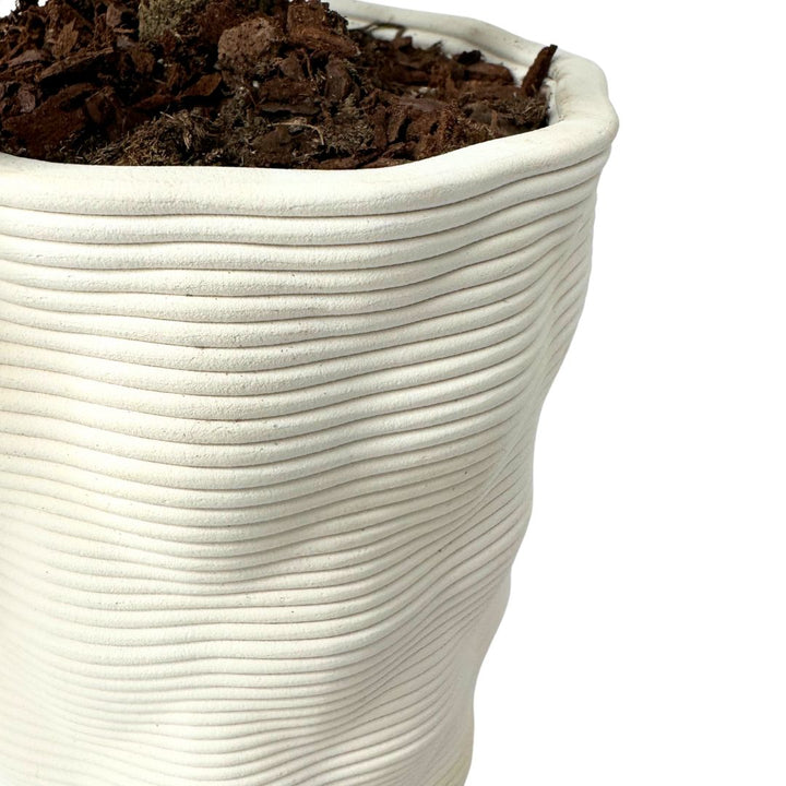 Primo piano del vaso artigianale Andromeda in argilla ondulata
