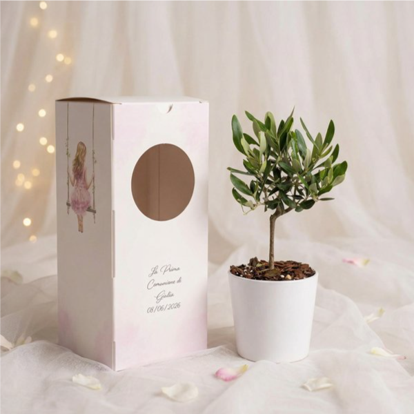 Bomboniera comunione mini ulivo con scatola personalizzata