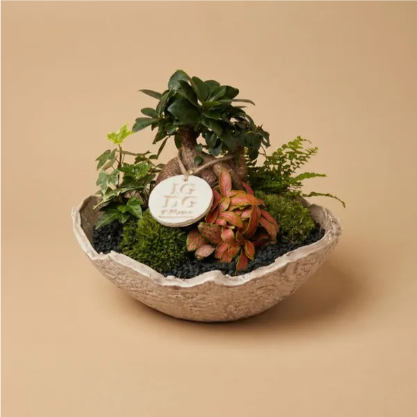 Geoterrarium con bonsai D.24
