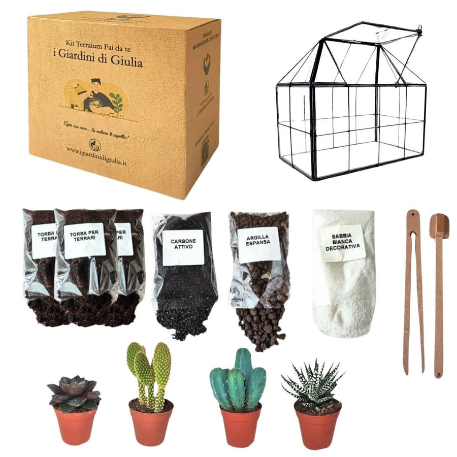 Kit terrarium geometrico completo con piante grasse, substrati e contenitore in vetro I Giardini di Giulia