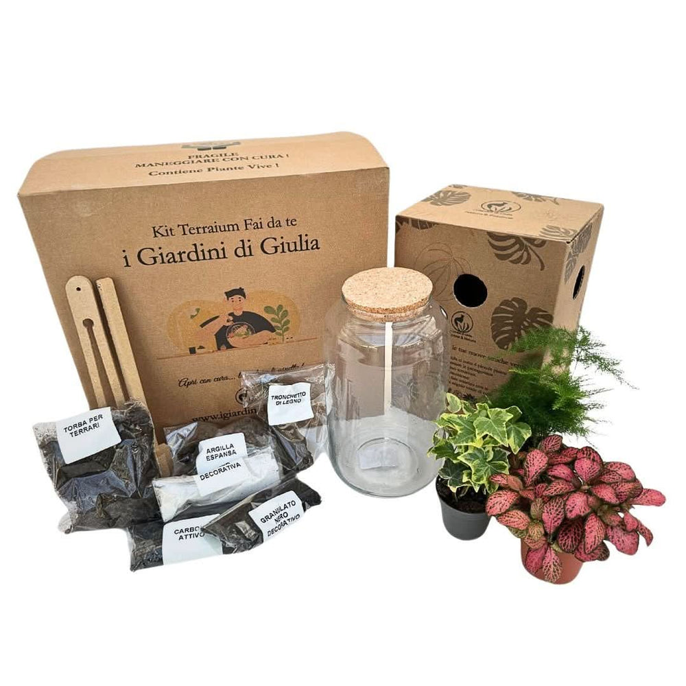 Kit Terrarium Fai Da Te Nadia de I Giardini di Giulia con vaso in vetro e tappo in sughero, attrezzi in legno, substrati naturali, tronchetto decorativo e piante vive (fittonia, edera, asparagus), confezionato in scatole eco-friendly.