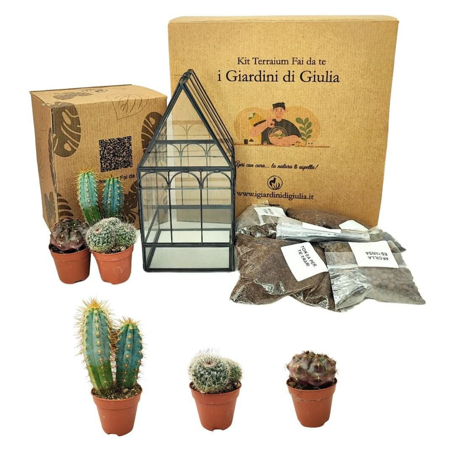 Kit terrarium fai da te con piante grasse – include contenitore geometrico in vetro stile serra, 3 cactus selezionati, substrati e attrezzi – I Giardini di Giulia
