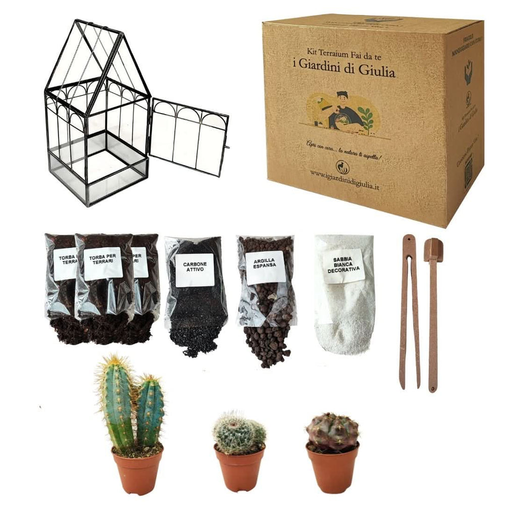 Kit terrarium fai da te con piante grasse – include contenitore geometrico in vetro stile serra, 3 cactus selezionati, substrati e attrezzi – I Giardini di Giulia