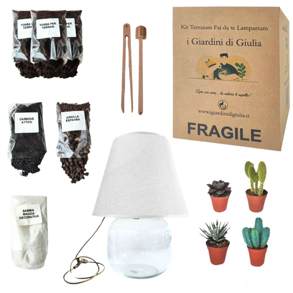 Contenuto del kit Lamparium con substrati, lampada e piantine