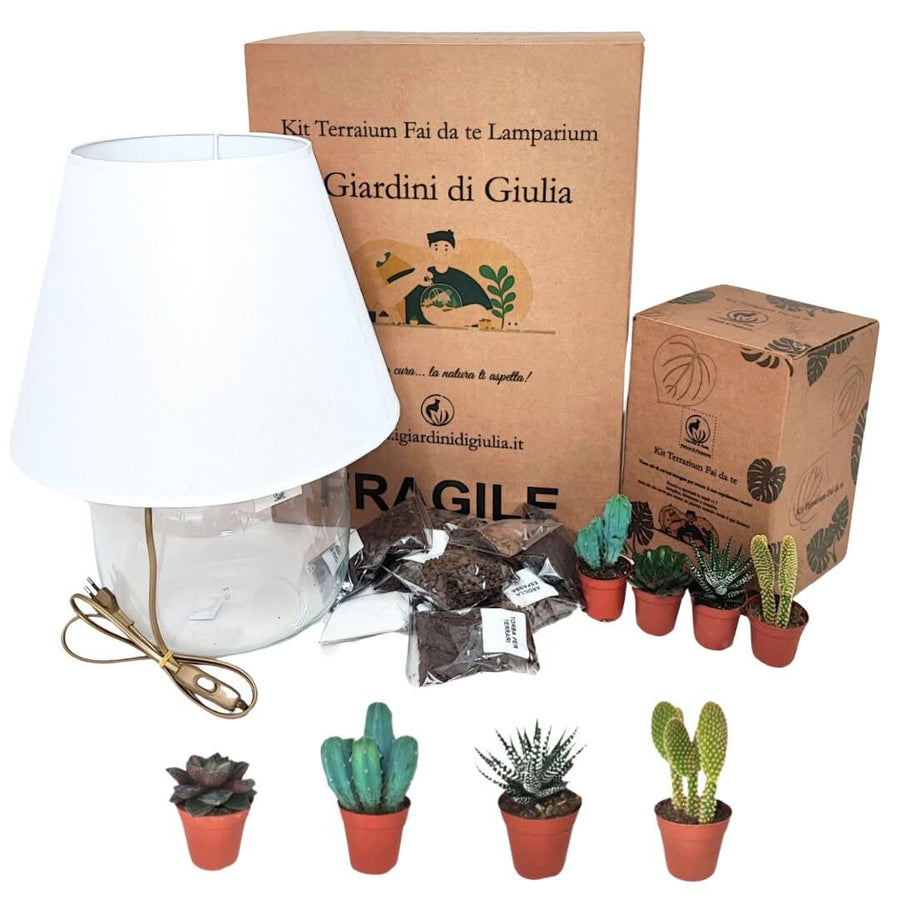 Kit Lamparium Grande completo con piante grasse e substrati