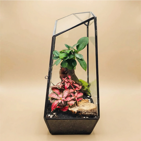 Terrarium Diamante 068V