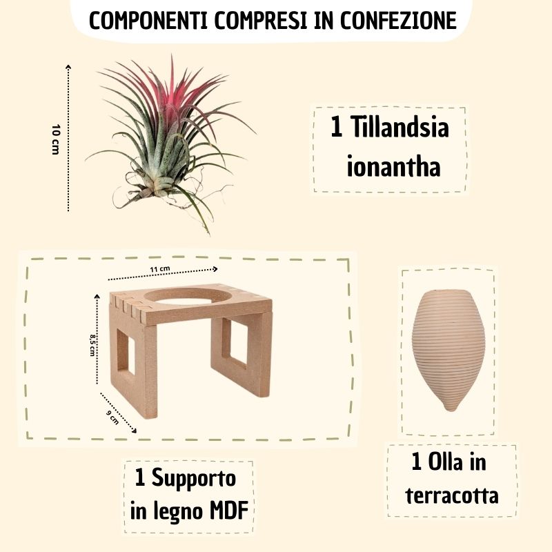 infografica che mostra i vari componenti inclusi in confezione e le varie misure dei vari elementi