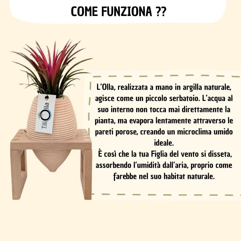 infografica che mostra e spiega come funziona