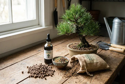 Concimazione Bonsai: La Guida  al Nutrimento del Tuo Bonsai