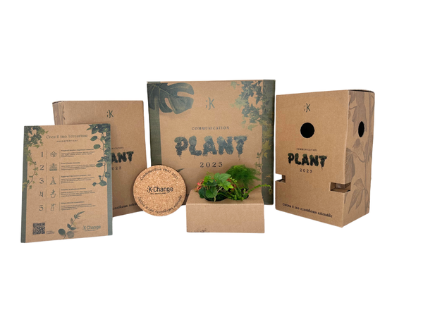 Terrarium Kit Natale 2025: Regali Aziendali Educativi