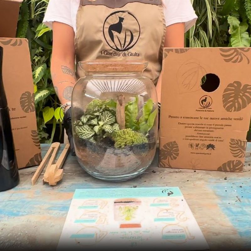 Kit Terrarium Fai da Te: L'Arte del Benessere Creativo che Trasforma i Tuoi Momenti