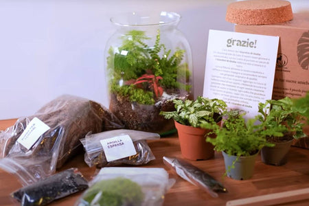Svela il Tuo Universo Verde Interiore: L'Arte Magica dei Kit Terrarium Fai da Te de I Giardini di Giulia