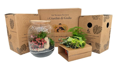 Terrarium Fai Da Te: La Guida Completa (2025)