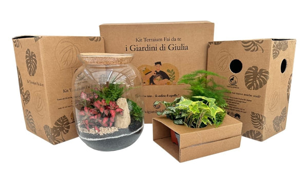 Terrarium Fai Da Te: La Guida Completa (2025)