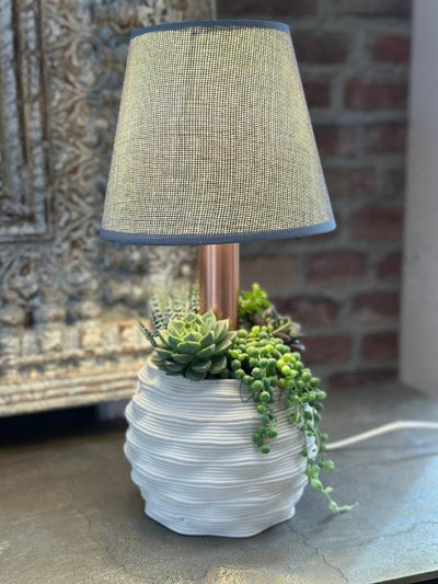 Lume Gaudì: La Lampada di Design che Arriva Completa con Piante Grasse