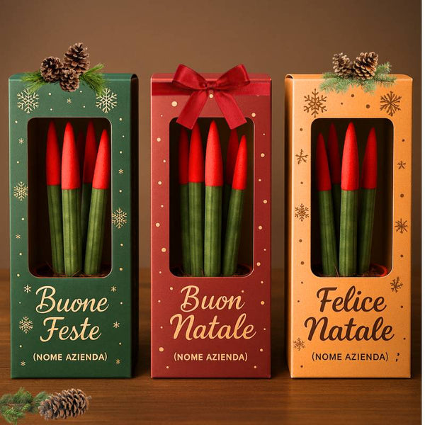 Regali Aziendali Natale 2025: La Guida Strategica Completa per Budget, Timing e Pianificazione