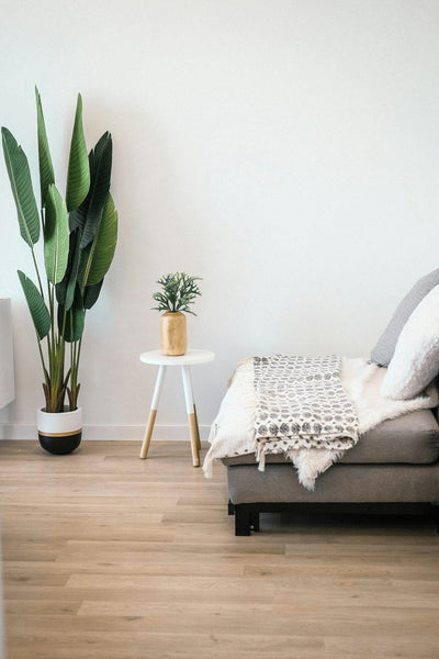 Guida all'arredamento con le piante d'appartamento