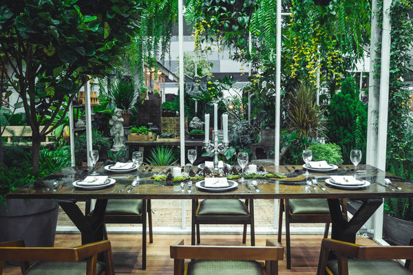 Perché arredare con piante vere e non con verde artificiale: la scelta intelligente per ambienti autentici e rigeneranti