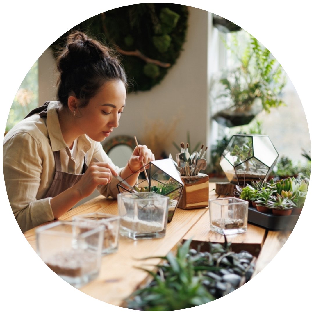 Terrarium Fai da Te: Il Piccolo Mondo che Cura l’Anima