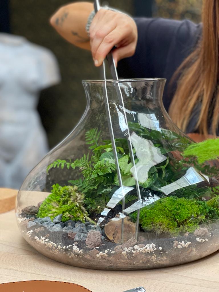 Tutto quello che devi sapere sul kit terrarium: Guida completa per creare il tuo angolo di natura in casa - i Giardini di Giulia