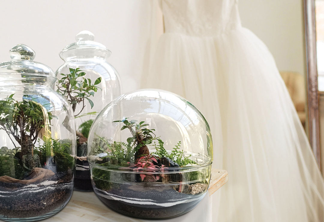 La foto mostra dei terrarium di piante in vetro e sotto sullo sfondo un abito da sposa bianco 