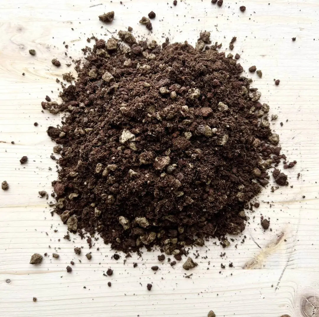 Terriccio Per Cactus E Piante Grasse 5L – Substrato Speciale Drenante, Pronto All’uso, BIOVITA
