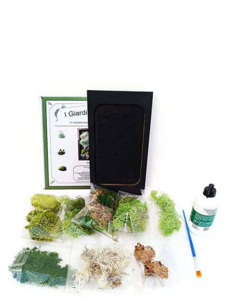 l'immagine mostra un kit completo per la realizzazione di un quadro di verde stabilizzato , in una elegante confezione 