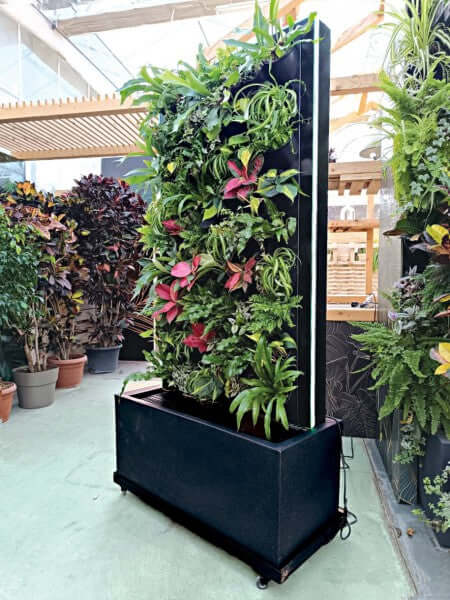 L'immagine presenta un giardino verticale con piante verdi e colorate disposte verticalmente.
