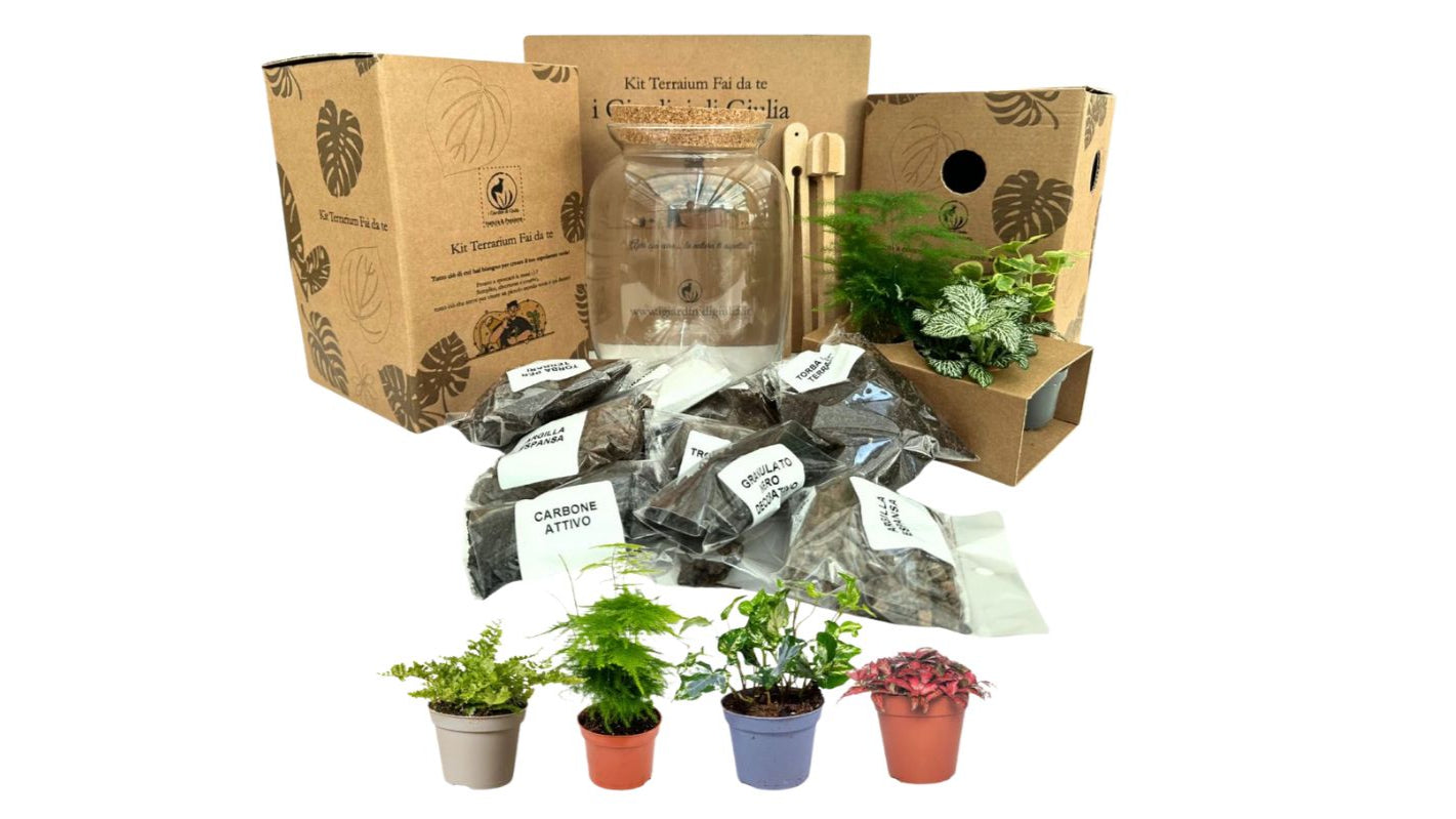 Immagini di un Kit per il fai date realizzazione terrarium di piante per interno