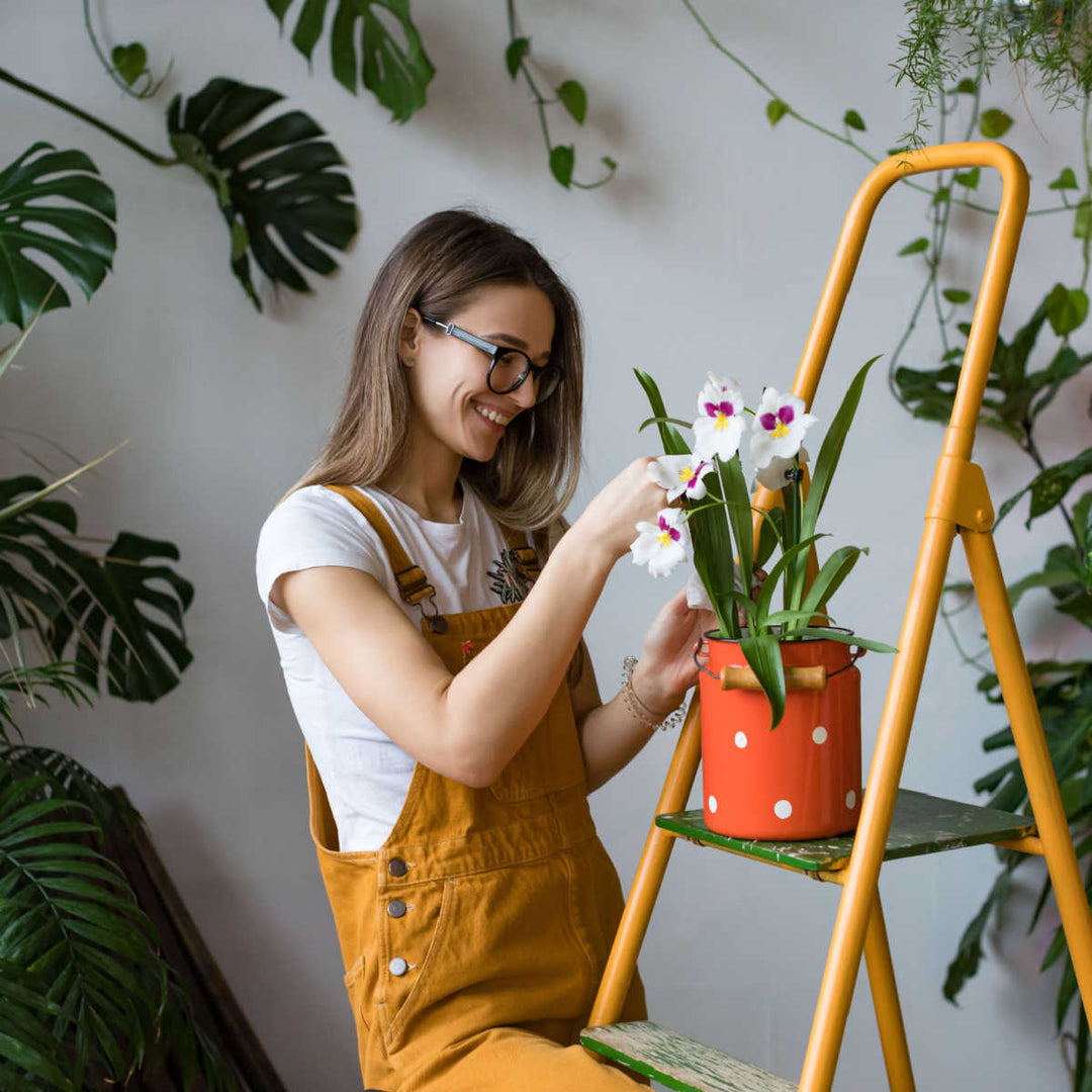 l'immagine mostra una giovane donna con mentre cura un orchidea bianca , vicino ad una scala a libro di colore giallo 