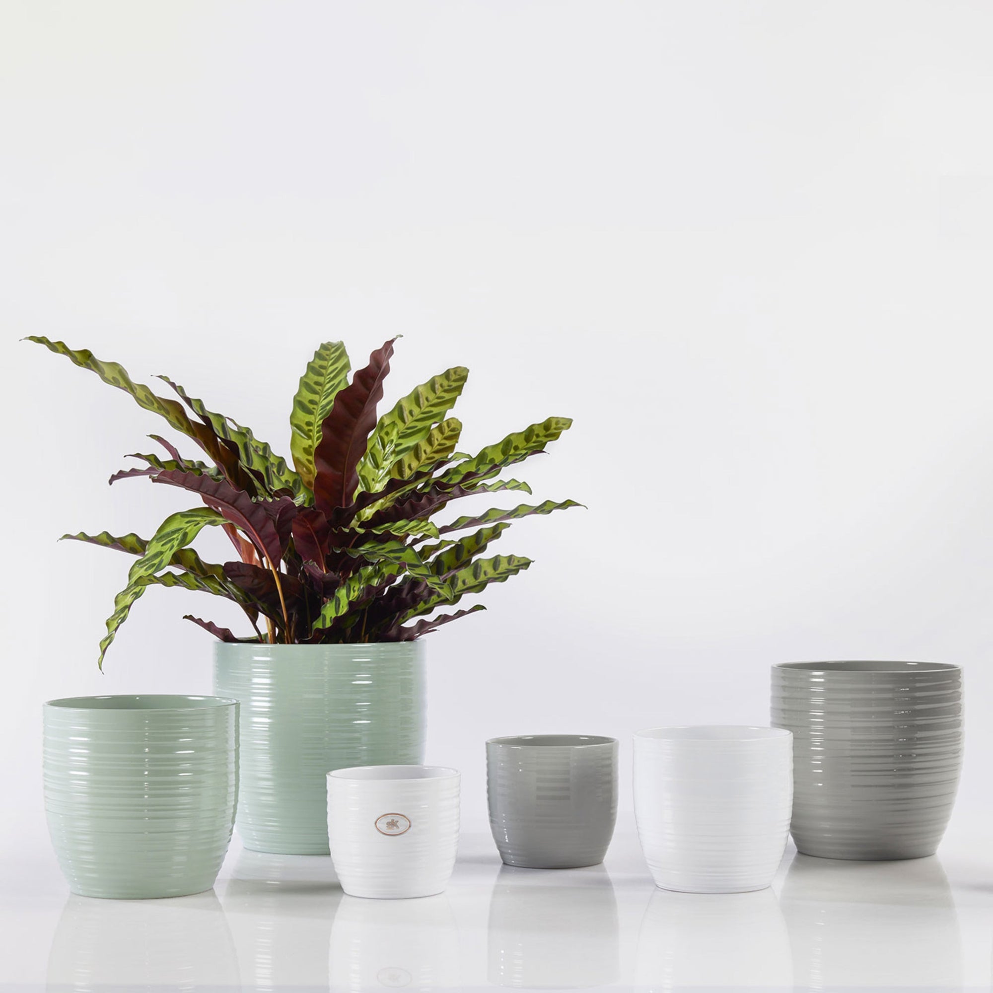 Vasi in ceramica