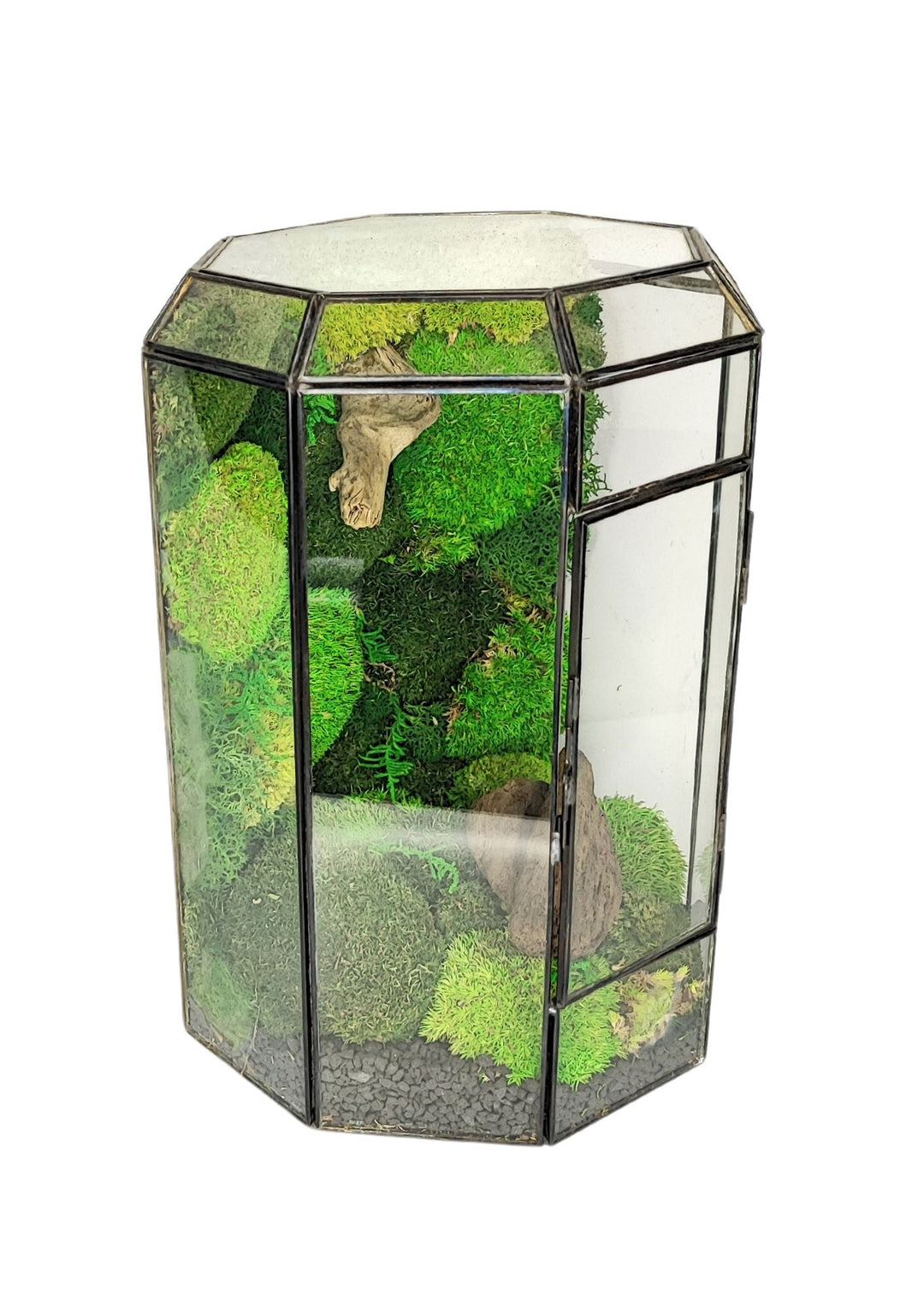 Terrarium con Muschio Stabilizzato e Licheni | Verde Senza Manutenzione