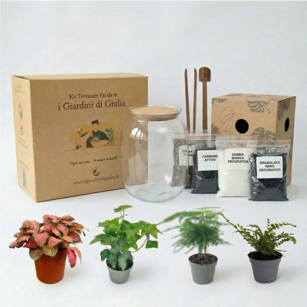 Kit Fai Da Te Terrarium Completo - Crea il Tuo Mini Giardino Elegante