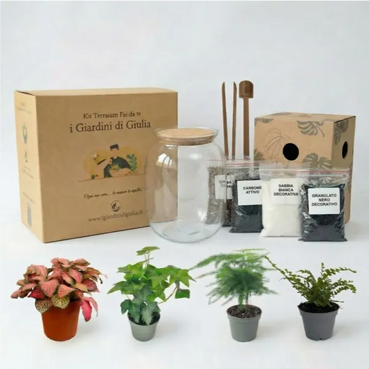 Kit Fai Da Te Terrarium Completo - Crea il Tuo Mini Giardino Elegante