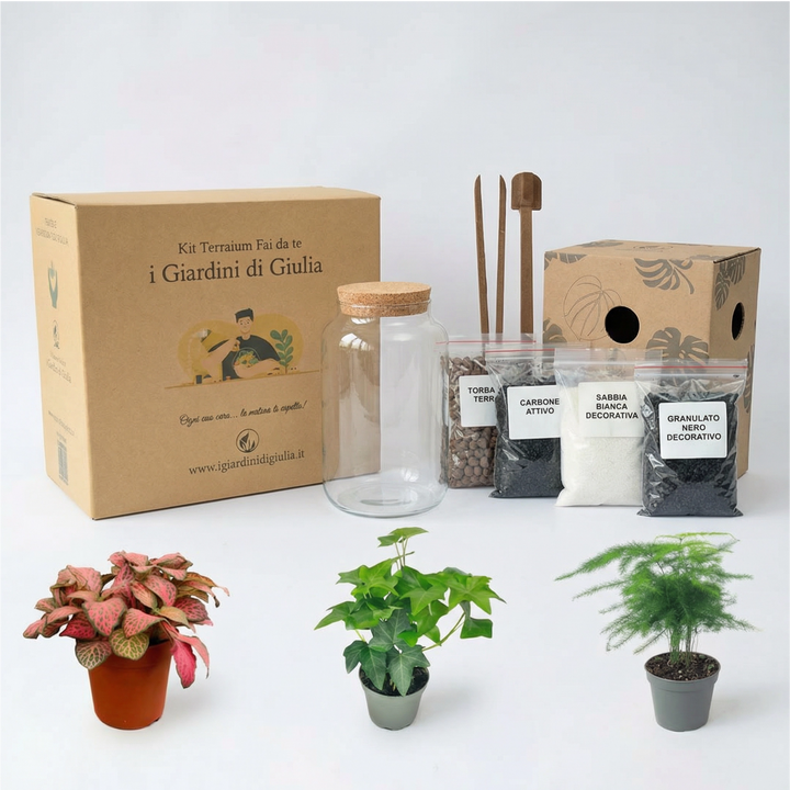 Kit Terrarium Fai Da Te Nadia | Crea il Tuo Giardino da Interno