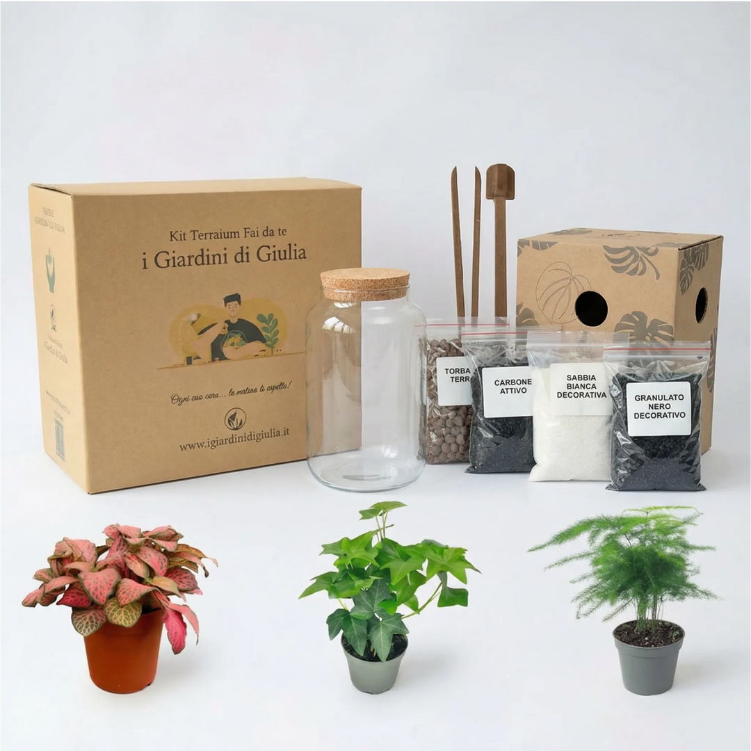 Kit Terrarium Fai Da Te Nadia | Crea il Tuo Giardino da Interno