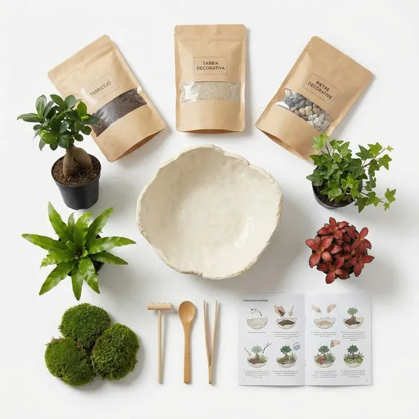 Kit fai da te Geo Terrarium completo: base in ceramica bianca artigianale, Ficus Ginseng bonsai, Asplenium Nidus, Hederina e Fittonia rossa in vasetti, sacchetti di terriccio, sabbia decorativa e pietre, muschio, attrezzi in legno e libretto istruzioni