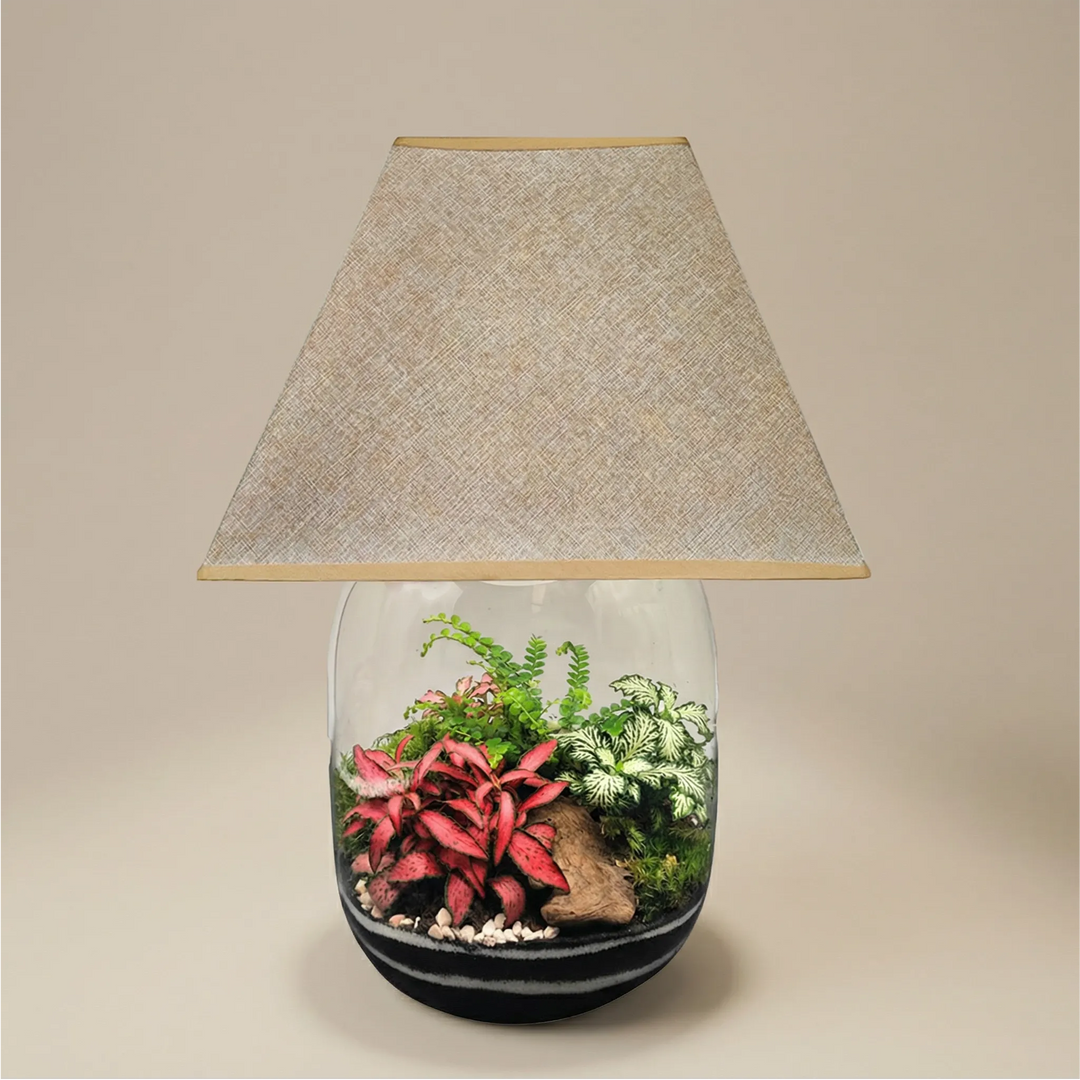 Lamparium Oasi Lux Elegant 22x40cm con fittonia rosa e bianca, paralume beige lino oro