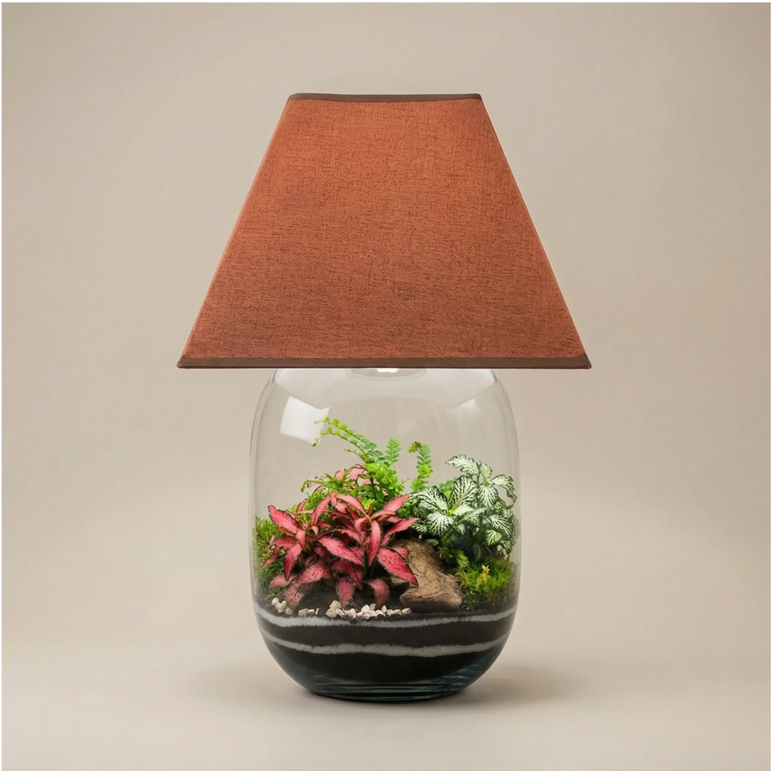 Lamparium Oasi Lux Elegant 22x40cm con fittonia rosa e bianca, paralume grigio