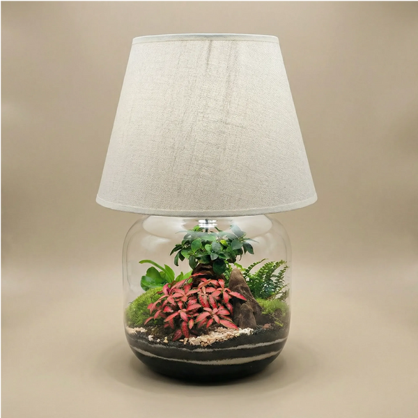 Terrarium Lamparium Martina - Tortora - Tortora