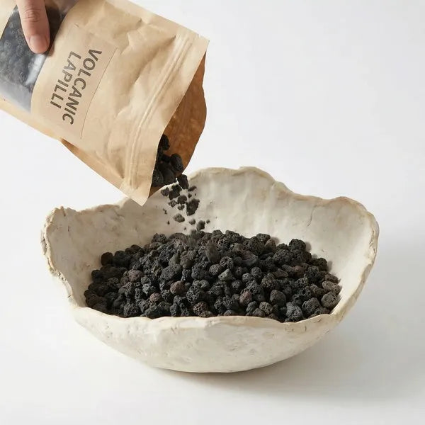 Kit Terrarium Fai da Te "Geo Terrarium" | Giardino Zen con Bonsai e Ciotola Artigianale