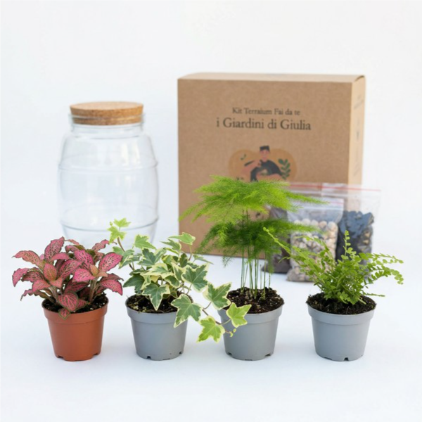 Kit Fai Da Te Terrarium Completo - Crea il Tuo Mini Giardino Elegante