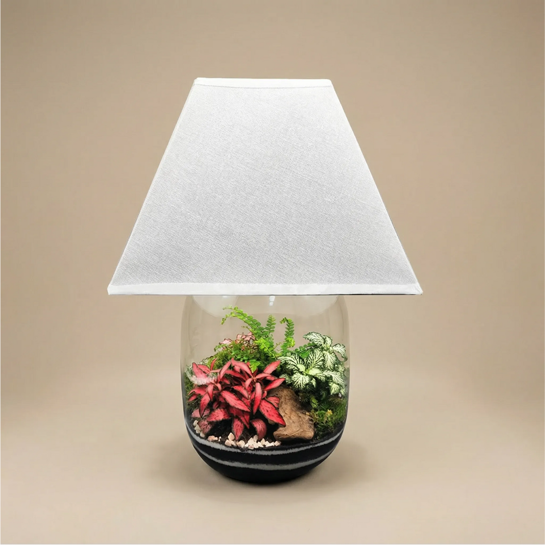 Lamparium Oasi Lux Elegant 22x40cm con fittonia rosa e bianca, paralume bianco crema